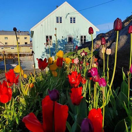 Lysvoldbrygga Bed and Breakfast Henningsvær Eksteriør billede