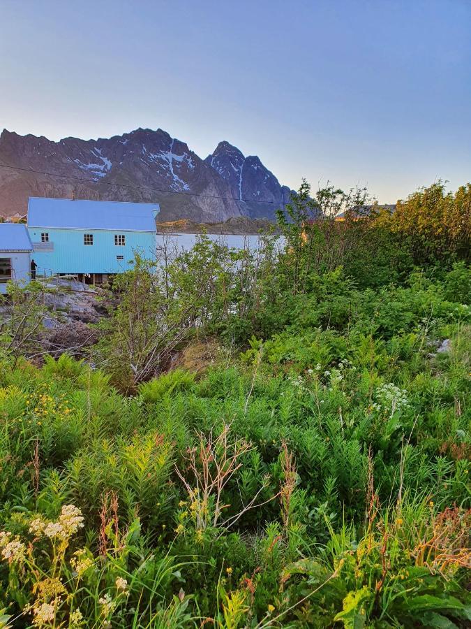 Lysvoldbrygga Bed and Breakfast Henningsvær Eksteriør billede